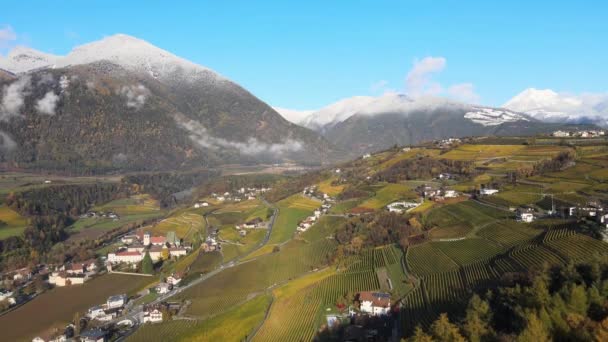 ノヴァチェッラの秋のブドウ畑上空の空中ドローン Nustift South Tyrol — ストック動画