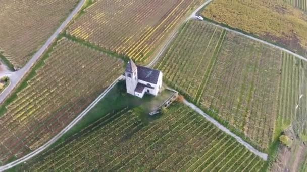 Sonbaharda Güney Tyrol Üzüm Bağlarının Ortasında Bir Ortaçağ Kilisesi Üzerinde — Stok video