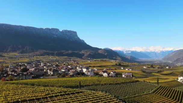 Drohne Über Den Weinbergen Herbst Südtirol Italien — Stockvideo