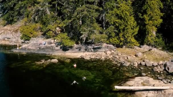 Tourist Crab Fishing Calm Water Sunshine Coast Egmont Canada Aerial — Stock Video