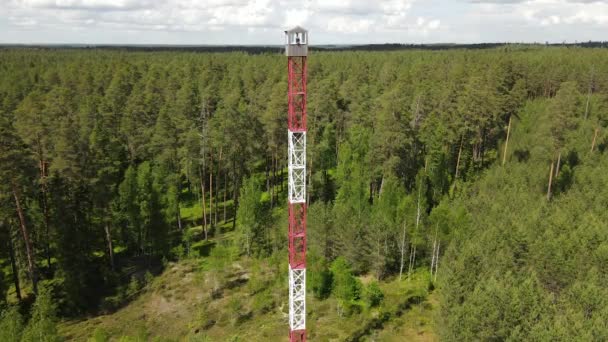 Torre Vigilancia Bosque Torre Bomberos Bosque — Vídeos de Stock