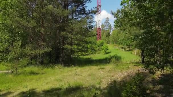 Rozhledna Lese Ohnivá Věž Lese — Stock video