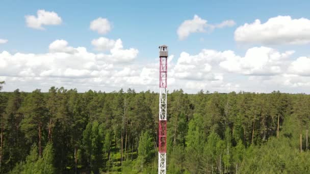 Wieża Widokowa Lesie Wieża Pożarowa Lesie — Wideo stockowe