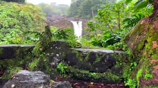Scenic Rainforest Rainbow Falls Waterfall Wailuku River State Park Hilo — стокове відео