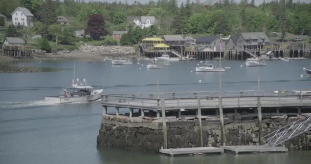 Wide Daytime Exterior Boat Returning Harbor — kuvapankkivideo