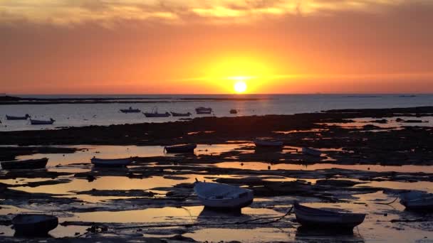 Slow Tilt Small Fishing Boats Parked Low Tide Sunset — Video