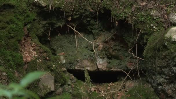 Deformace Nebo Eroze Skále Tvořící Díru Mechem Kolem Mokřady — Stock video