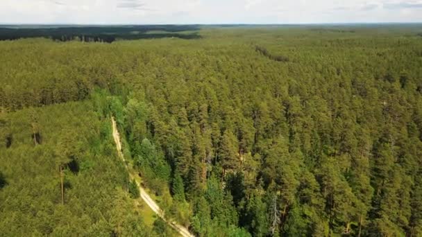 Massiccio Della Foresta Dalla Vista Della Torre Torre Dei Pompieri — Video Stock