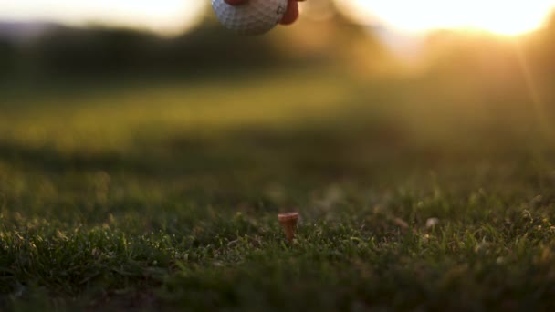 Hand Teeing Callaway Golf Ball Driving Range Golf Course Close — Stockvideo