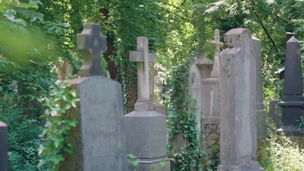 Sepolcro Decorato Nel Cimitero Cristiano Monaco Vecchio Cimitero Con Molte — Video Stock