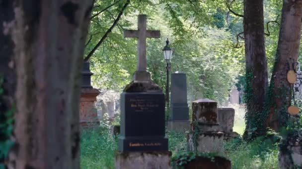 Відкритий Надгробок Християнському Кладовищі Мюнхені Старовинний Цвинтар Багатьма Похованими Особистостями — стокове відео