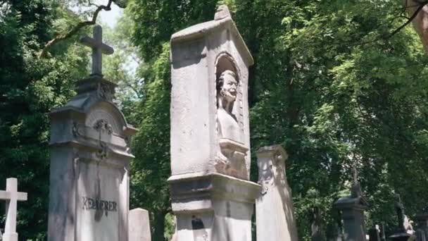 Stone Statue Decorated Gravestone Graveyard Munich Old Cemetery Many Buried — Vídeo de Stock