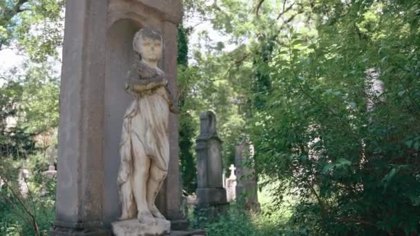 Stone Statue Decorated Gravestone Graveyard Munich Old Cemetery Many Buried — Vídeo de stock