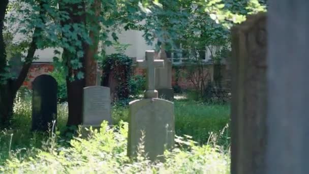 Sepolcro Decorato Nel Cimitero Cristiano Monaco Vecchio Cimitero Con Molte — Video Stock