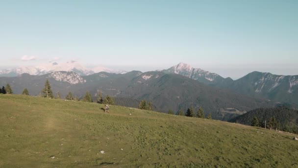 Man Nordic Walking Hill Slovenian Alps Mountains Aerial View — Video Stock