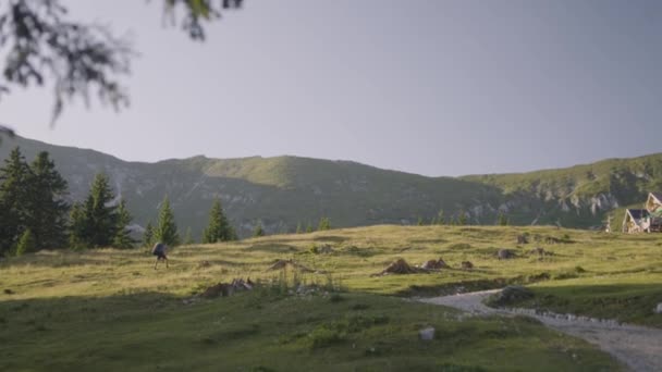 Mochilero Encuentra Refugio Las Montañas Larga Caminata Que Llega Destino — Vídeos de Stock