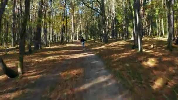 リトアニアのネリス地域公園で秋の間に森の中を走る男に続くドローン — ストック動画