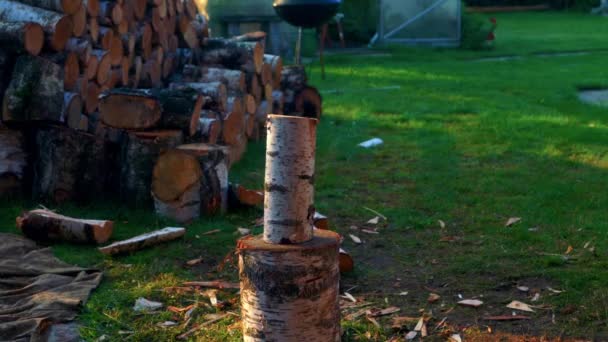 Guy Chopping Wood Backyard Axe Close — Vídeo de Stock