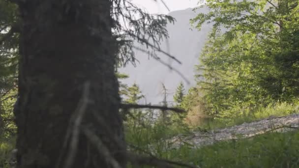 背负沉重背包的人在斯洛文尼亚山区探索荒野 追踪枪击事件 — 图库视频影像