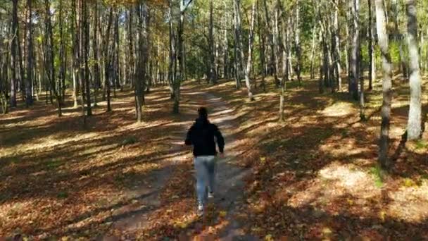 Homme Actif Courant Dans Sentier Forestier Avec Des Arbres Denses — Video