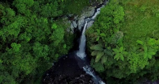 Ein Video Wurde Von Weichem Wasserfall Aufgenommen Dieser Ort Wird — Stockvideo