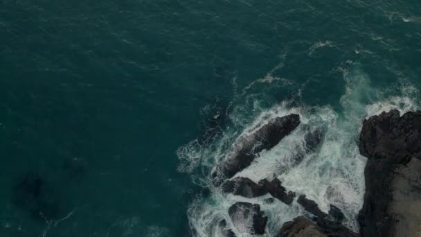 Birdseye View Pacific Coast California — Video Stock