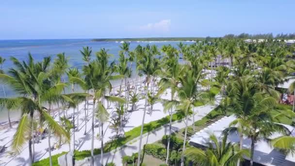 Volo Sulla Spiaggia Sabbia Bianca Perfetta Con Palme Nei Caraibi — Video Stock