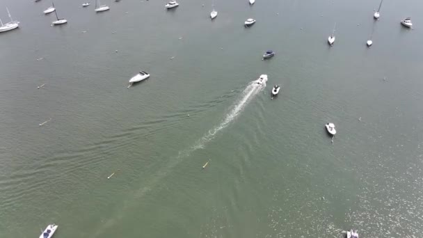 Vista Aérea Marina Northport Long Island Com Vários Barcos Ancorados — Vídeo de Stock