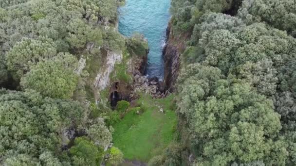Beautiful Holidays Destination Forest Cliffs Sea Aerial Drone View — Vídeo de Stock