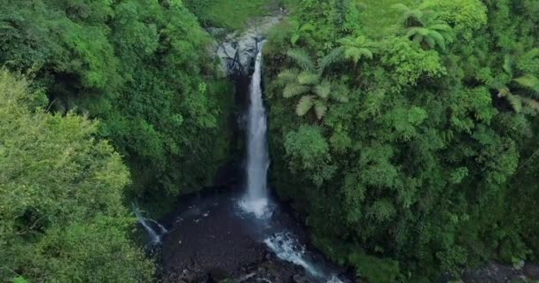 Vista Aérea Drone Voando Sobre Cachoeira Kedung Kayang Toda Vegetação — Vídeo de Stock