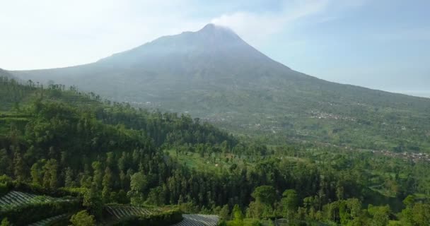 Achterwaartse Drone Vlucht Plantages Omgeving Van Merapi Vulkaan Java Indonesië — Stockvideo