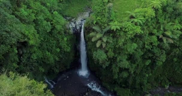 Drone Flight Kedung Kayang Waterfall Underlying Water Basin Creates Central — Stock Video
