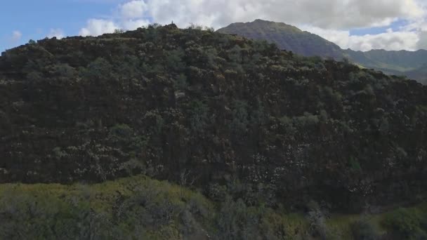 Aerial View Mountain Side Revealing Beautiful Hawaiian Oceanside — Stok video