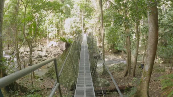 Visutý Most Přes Rychle Tekoucí Horský Potok Deštném Pralese Krásná — Stock video