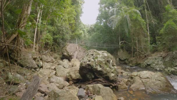 Ponte Suspensão Distância Sobre Fluxo Rápido Baxter Creek Bela Natureza — Vídeo de Stock