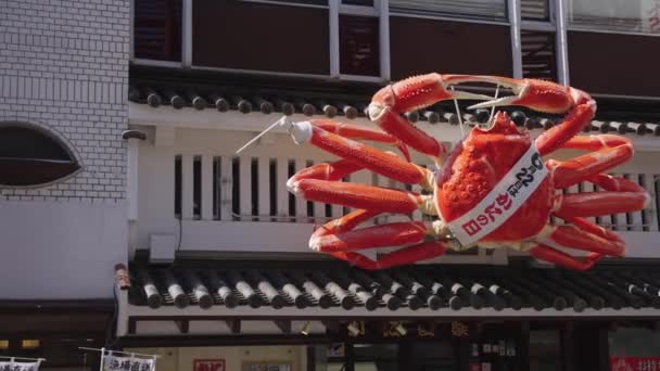 Japanese Crab Restaurants Popular Dotonburi Street Osaka Central Shopping — Stockvideo
