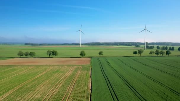 Beautiful Farmland Windmills Lush Green Crops Aerial Drone — Stock Video