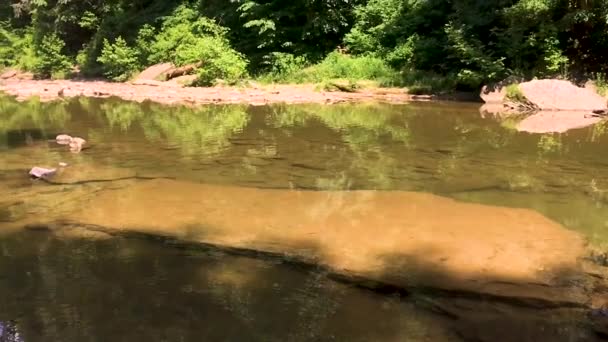 Aquí Está Camino Las Hermosas Famosas Cataratas Cummins Este Río — Vídeos de Stock