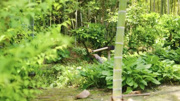 Shishi Odoshi Fuente Agua Bambú Fondo Jardín Zen — Vídeos de Stock