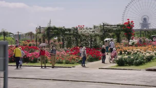 Osaka Expo Park Rose Garden Την Ηλιόλουστη Μέρα Καθώς Άνθρωποι — Αρχείο Βίντεο