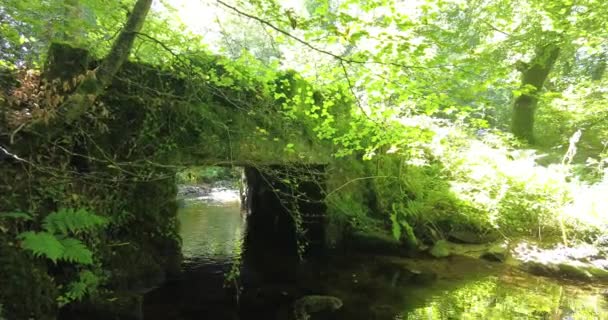 Dartmoor Angliában Napfényben Fürdött Patak Felett Egy Kis Hídról — Stock videók