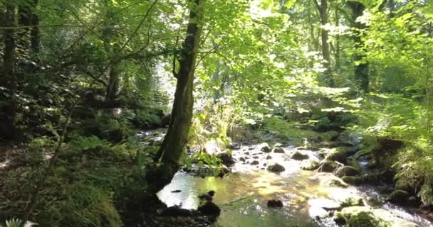 Panning Prawy Strzał Rzeki Płynącej Przez Głazy Skąpane Słońcu Dartmoor — Wideo stockowe