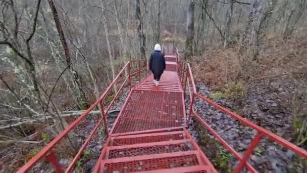 有人在一个红色的金属楼梯上走下楼去 走进树林 摄像头正在跟随 并附有稳定装置 — 图库视频影像