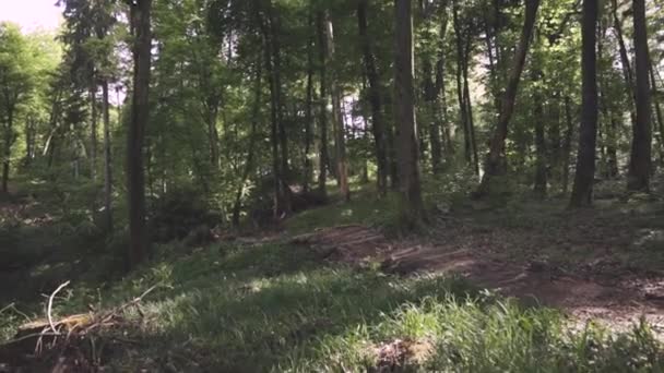 Mtb Downhill Bike Rider Jumps Trail Woods Low Angle Slow — Stockvideo