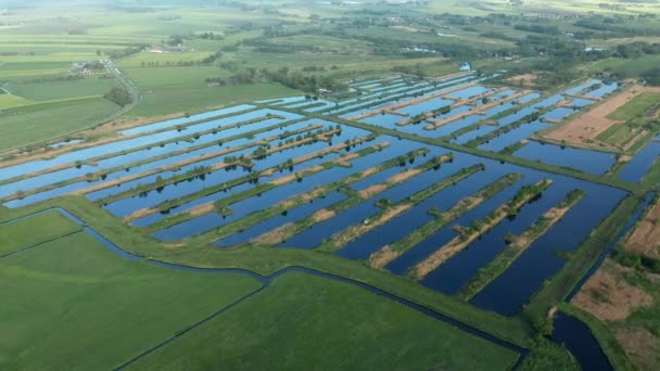 Aerial View Polders Rural Area Friesland Netherlands — Stock Video