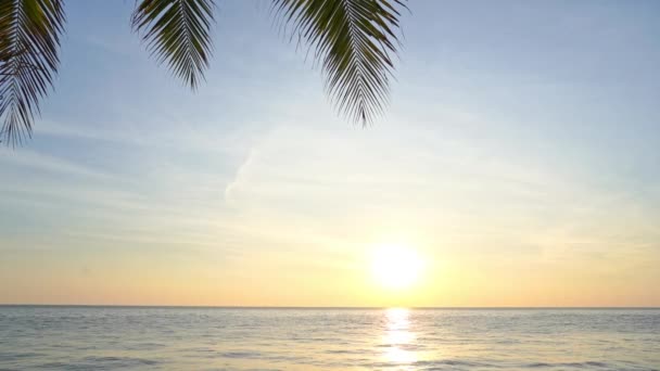 Palmové Listy Odkapávají Vrcholek Rámu Tropického Západu Slunce Rozsah Nadpisu — Stock video