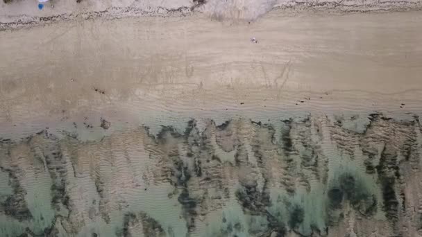 Locals Mysterious Beach Ebb Tide Spectacular Aerial View Flight Bird — 비디오