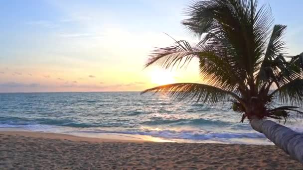 Horisontell Palm Ramar Dramatisk Solnedgång Längs Tropisk Strand Thailand Titelutrymme — Stockvideo