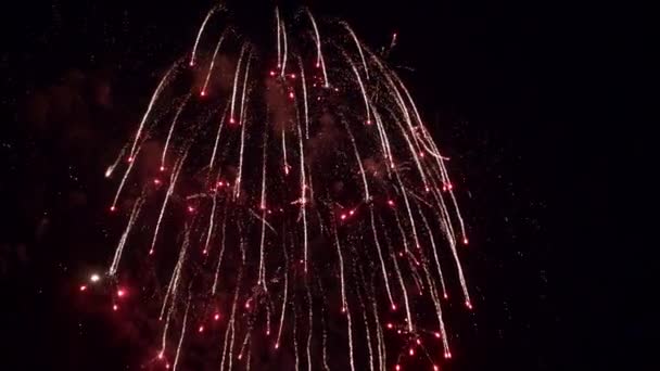 Rallentatore Fuoco Artificio Rosso Piove Colore Luce Sulle Persone Sotto — Video Stock