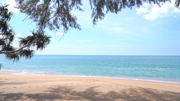 Widok Plażę Ocean Przez Gałęzie Drzew Przestrzeń Tytułu — Wideo stockowe